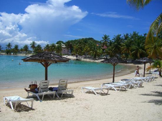 Studio Vue Mer Village Viva Bas Du Fort, Gosier Le Gosier  Kültér fotó
